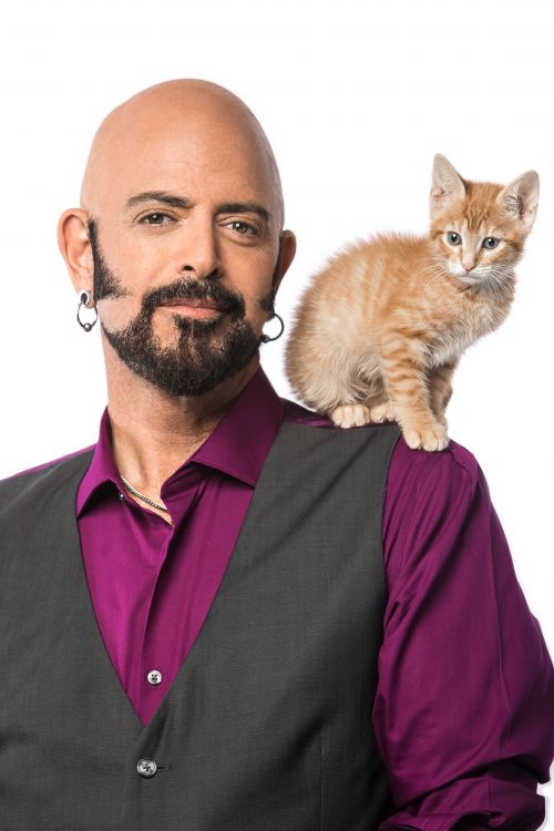 Jackson galaxy best sale own cats